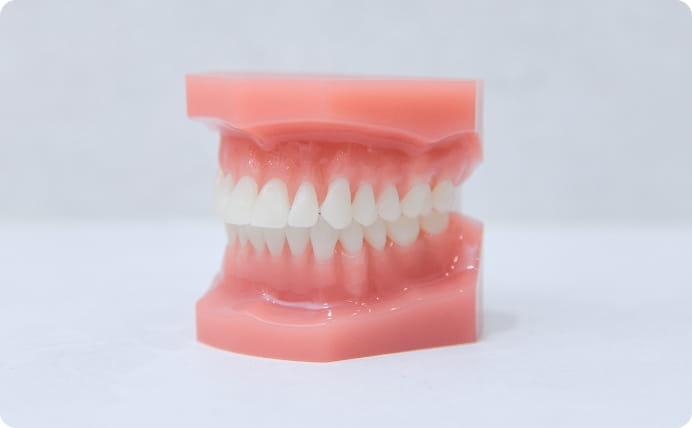 見えない矯正の徹底